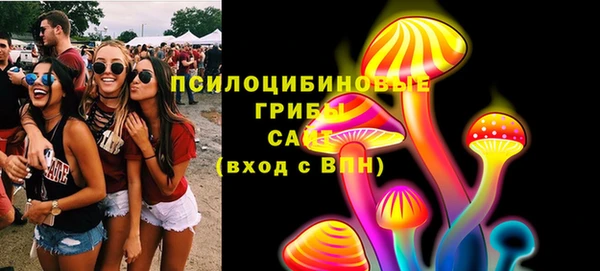 mix Богородицк